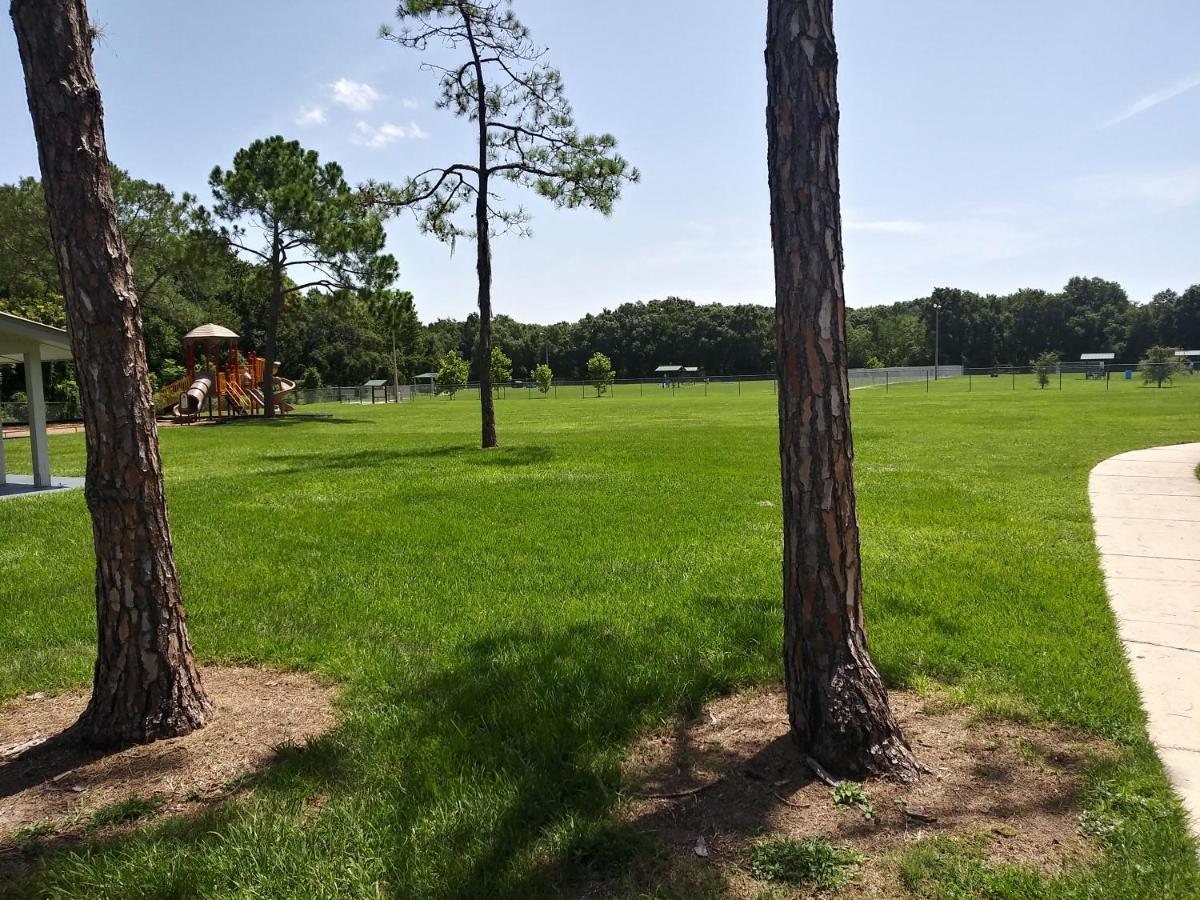 Appartamento Tampa Citrus Park Esterno foto