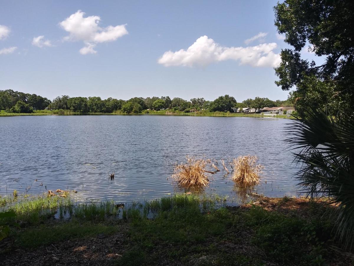 Appartamento Tampa Citrus Park Esterno foto